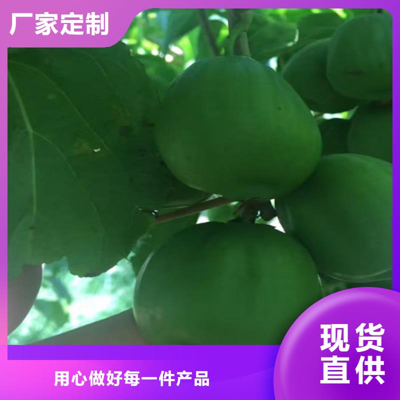 猕猴桃,蓝莓苗量大更优惠