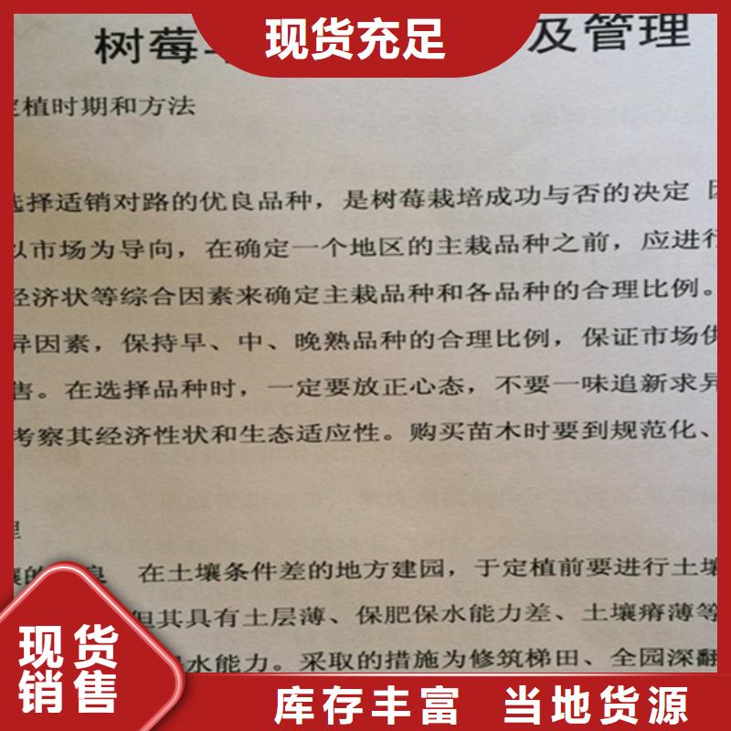 树莓,3公分软籽石榴苗为您精心挑选