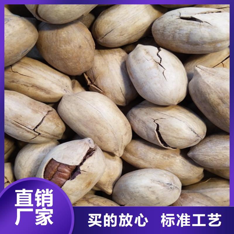 北美冬青-视频-竹溪|茅箭|襄阳|荆州|黄冈|随州|鄂州北美冬青好品质经得住考验-轩园园艺场(十堰市分公司)