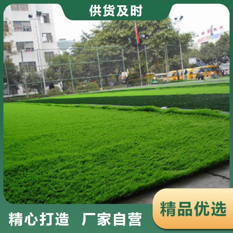球场人造草坪货源