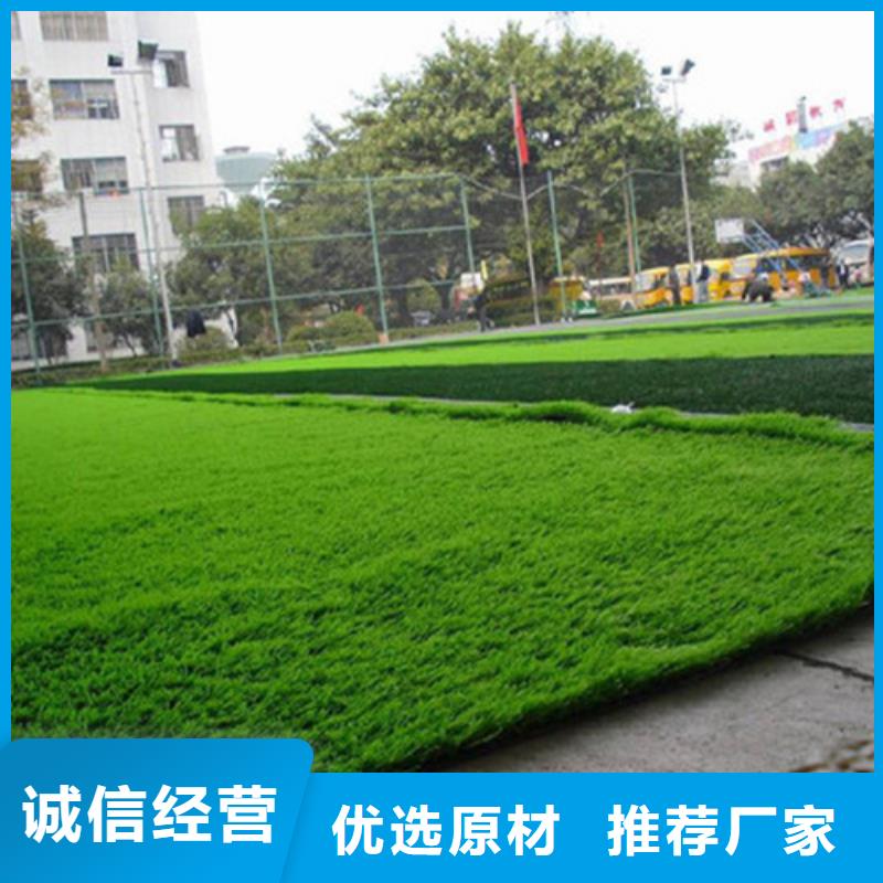 人造草坪,户外游乐场跑道工厂批发