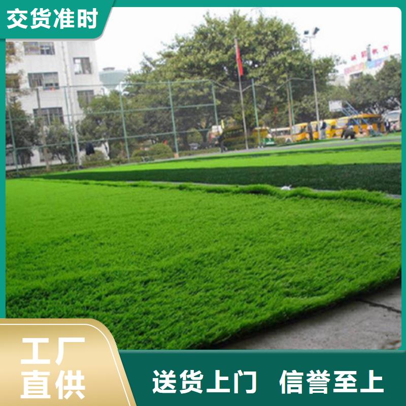 人造草坪 学校体育场真实拍摄品质可靠