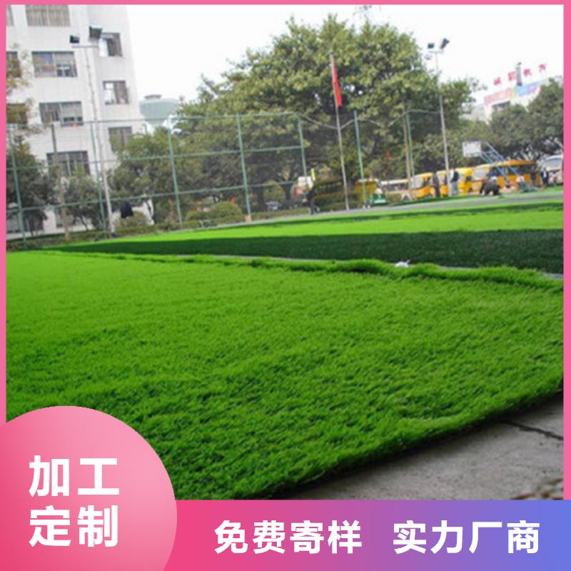 人造草坪【 幼儿园足球场】源厂供货
