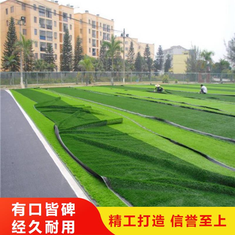 人造草坪塑胶跑道专业设计