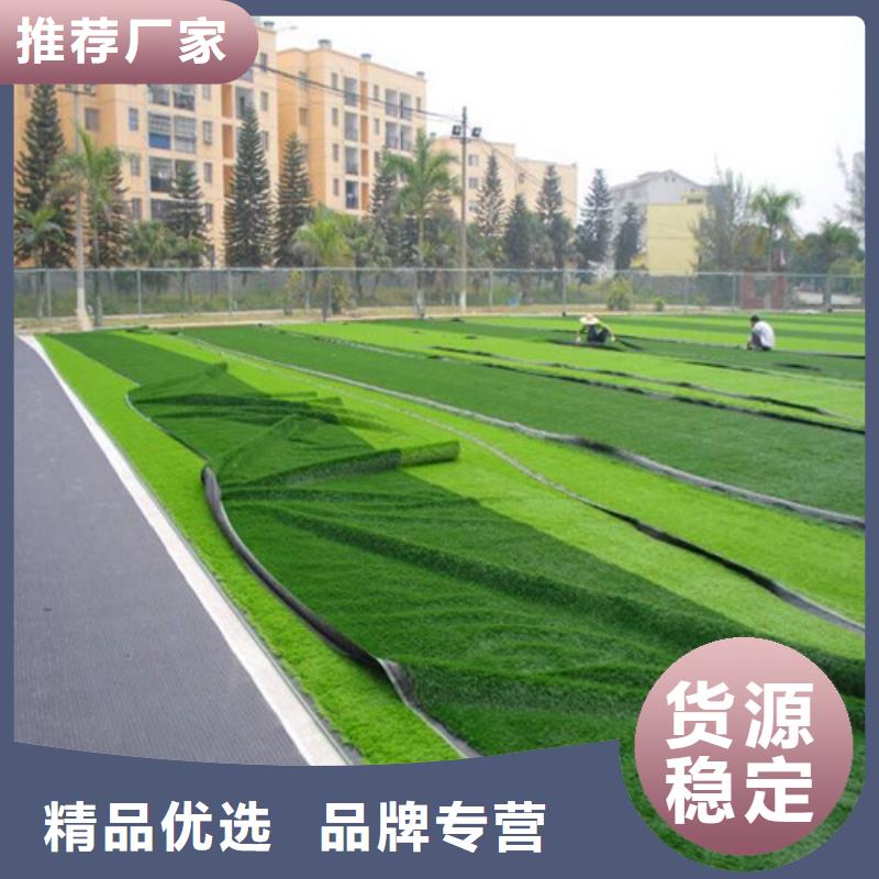 临邑县绿草地人造草坪