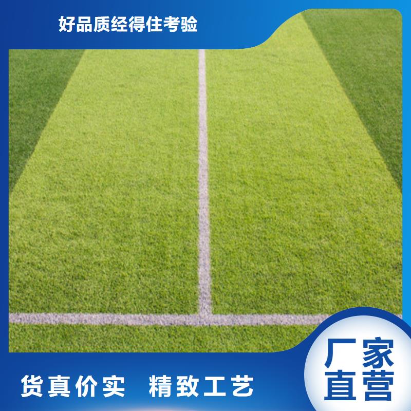 人造草坪多家仓库发货