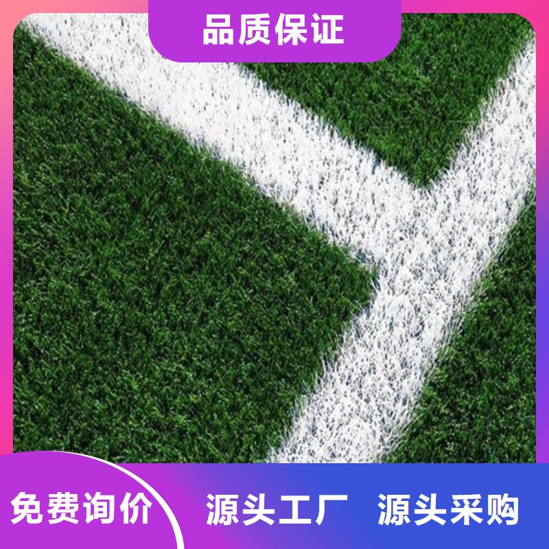 球场人造草坪货源