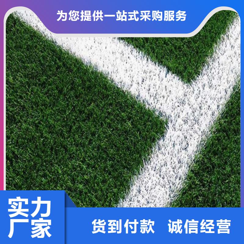 人造草坪-塑胶跑道工厂直销