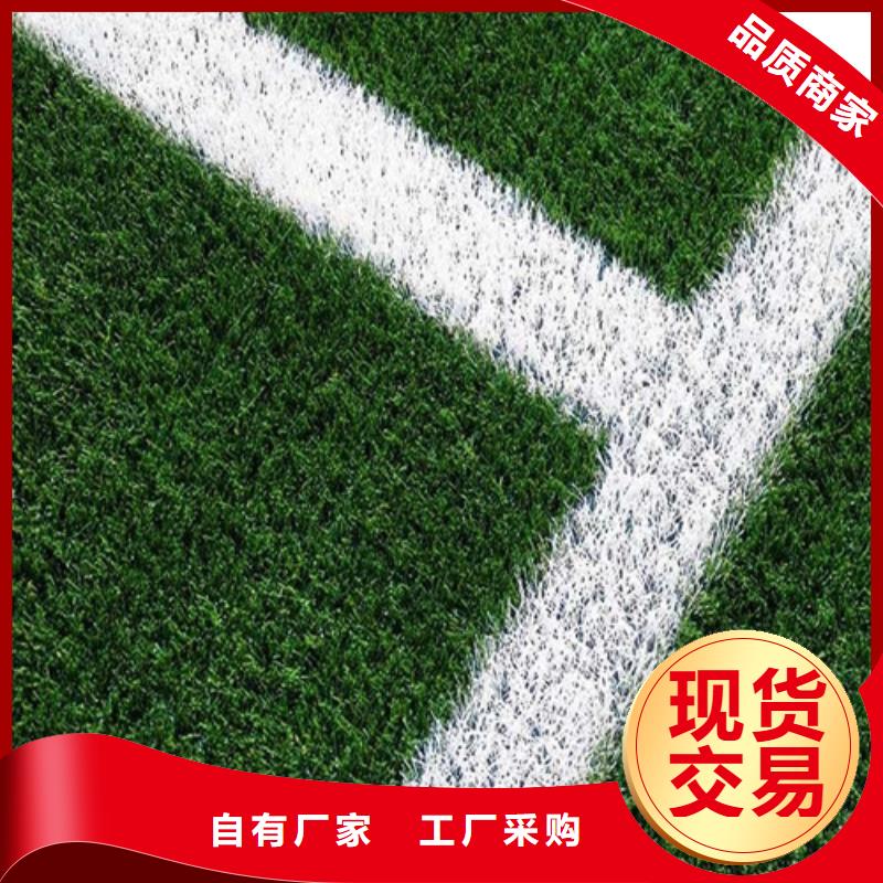 人造草坪【硅pu篮球场】极速发货