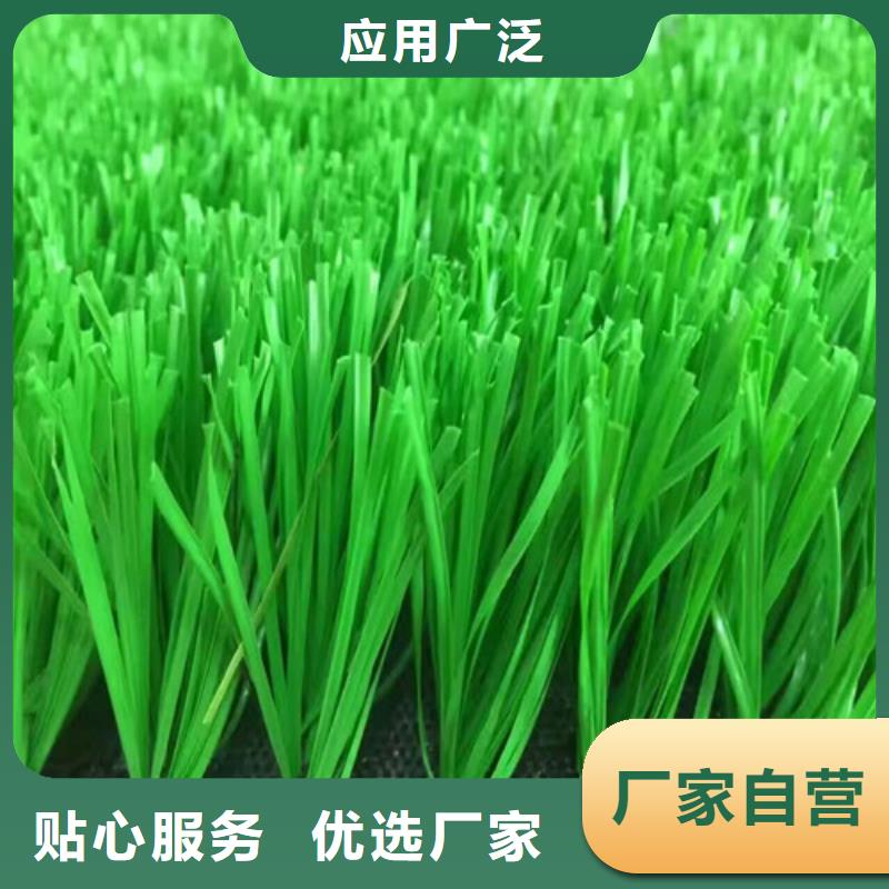 人造草坪高密度跑道拒绝中间商