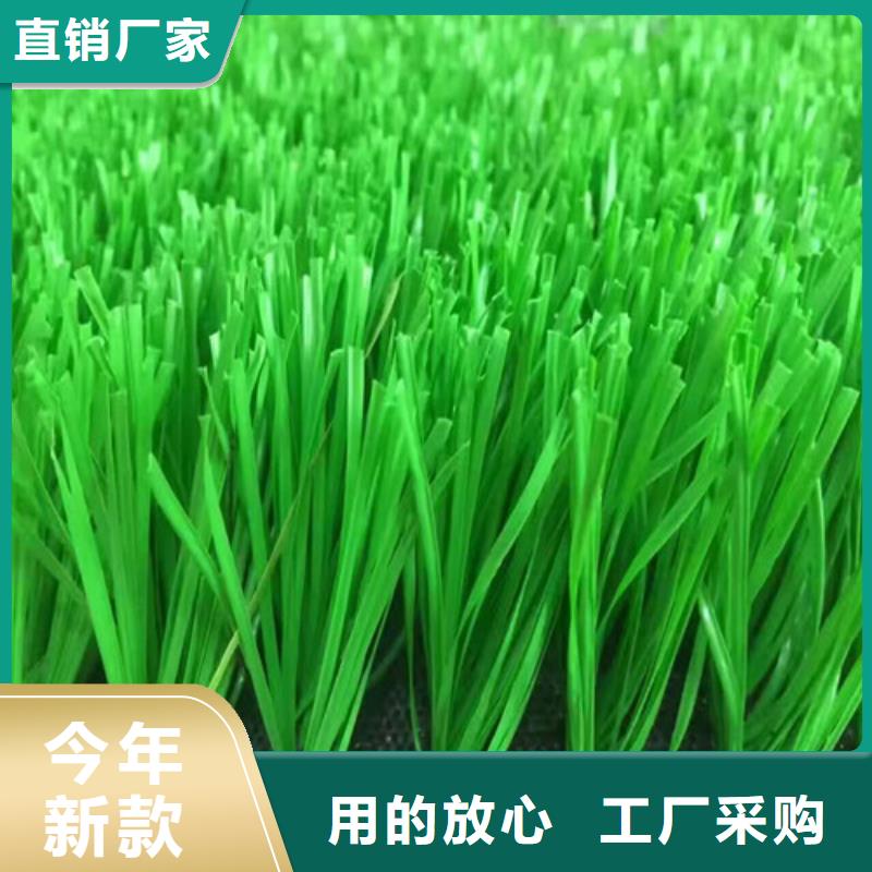 莱西市足球场人造草坪公司