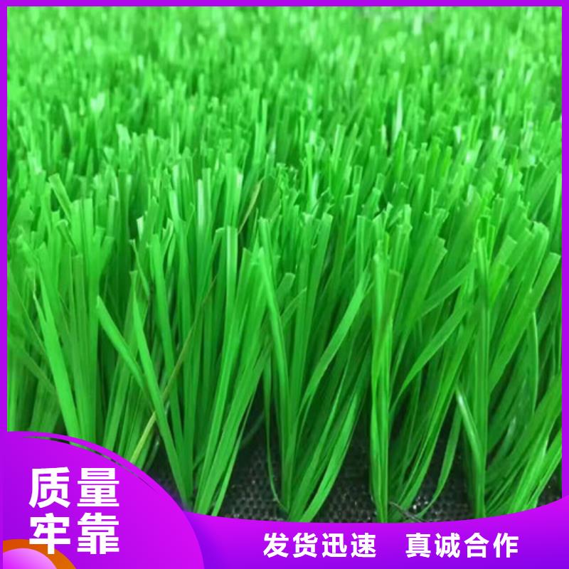 人造草坪健身步道实力才是硬道理