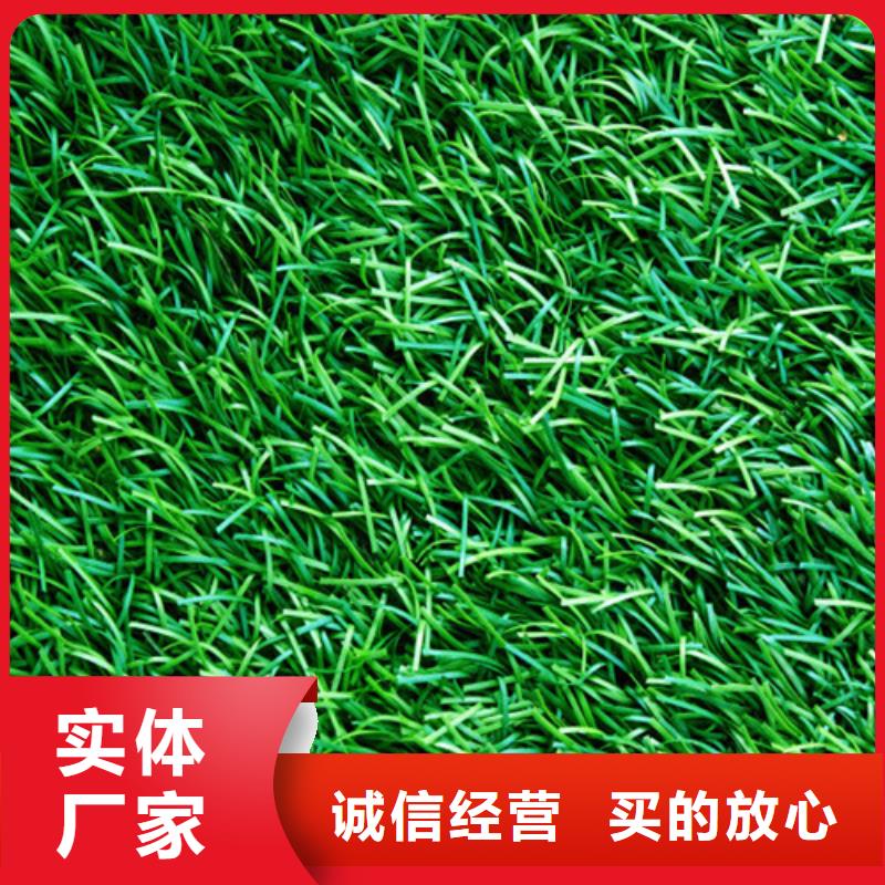人造草坪体育场塑胶跑道专注生产N年
