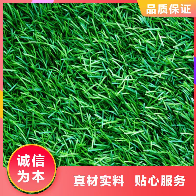 人造草坪-陶瓷防源头工厂