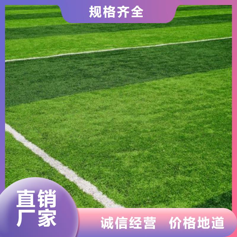 球场人造草坪货源