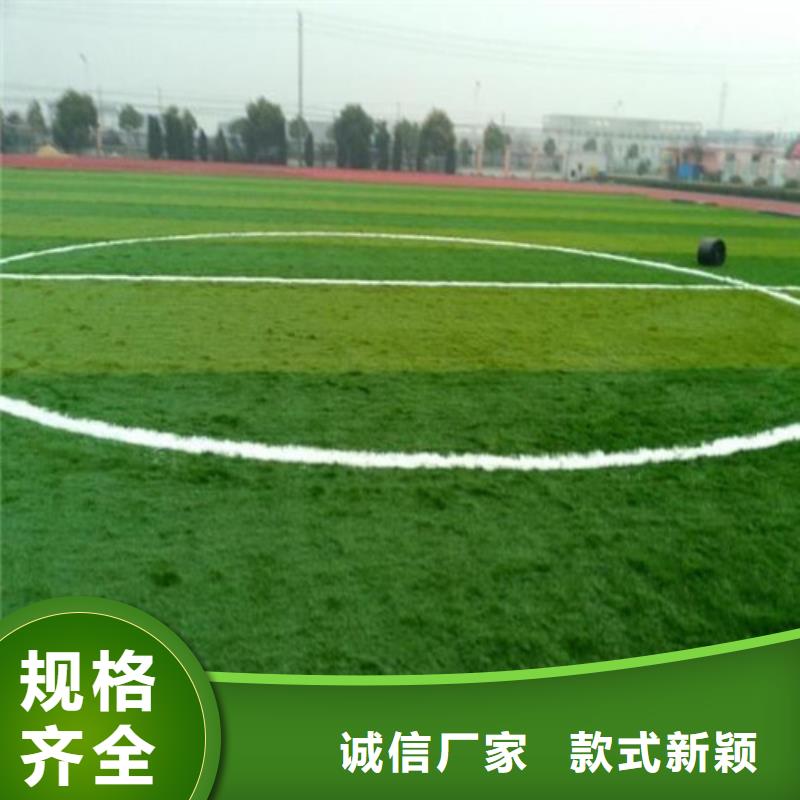 仿真人工草坪现货价格