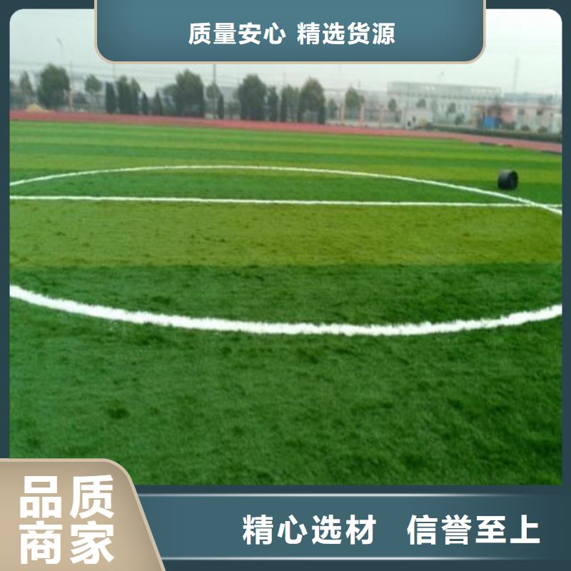 人造草坪塑胶跑道专业设计