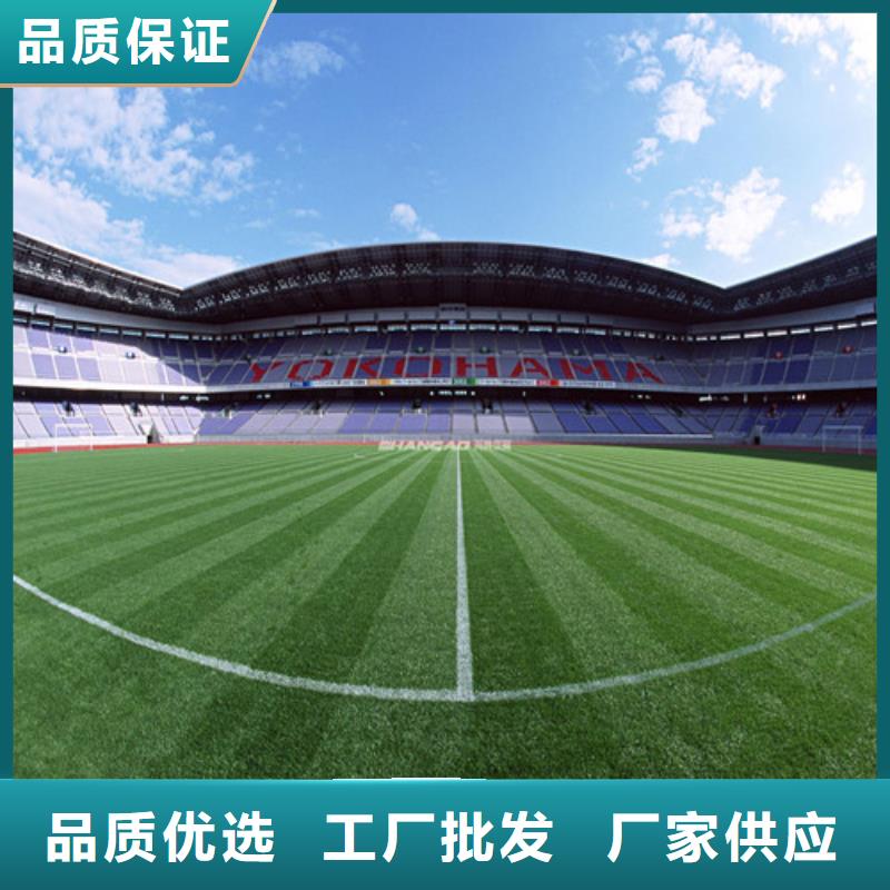 武城县球场人造草坪
