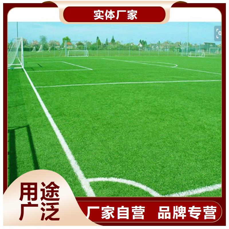人造草坪公园塑胶跑道适用场景