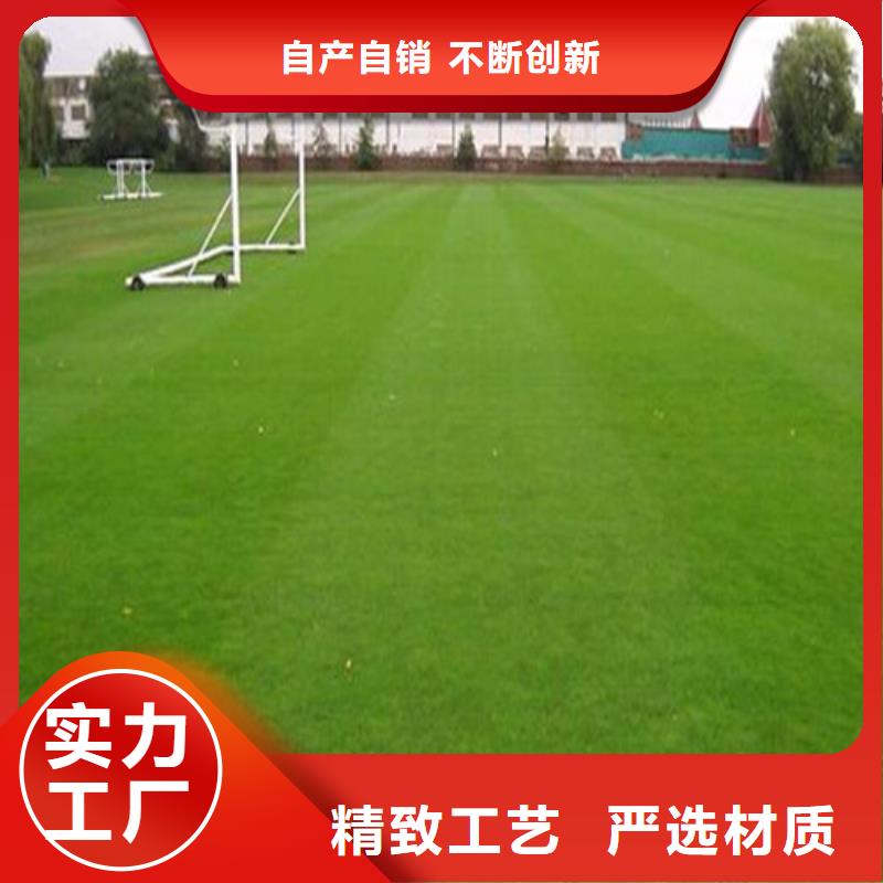 幼儿园地坪视频-幼儿园地坪-百锐体育设施(聊城市分公司)服务区域茌平|阳谷|济宁|青岛|潍坊|滨州|德州|莱芜