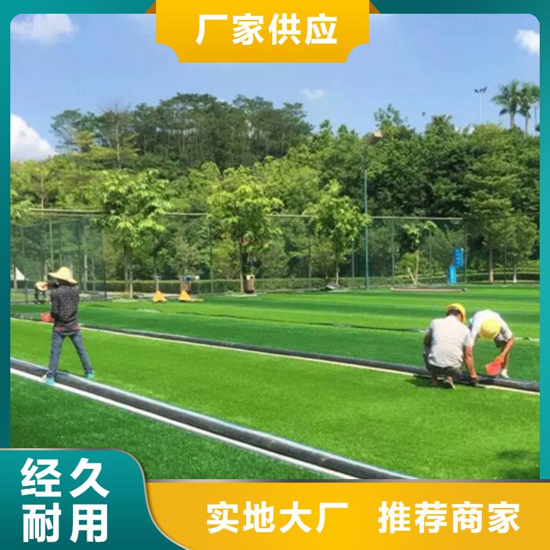 人造草坪-仿真草皮诚信经营质量保证