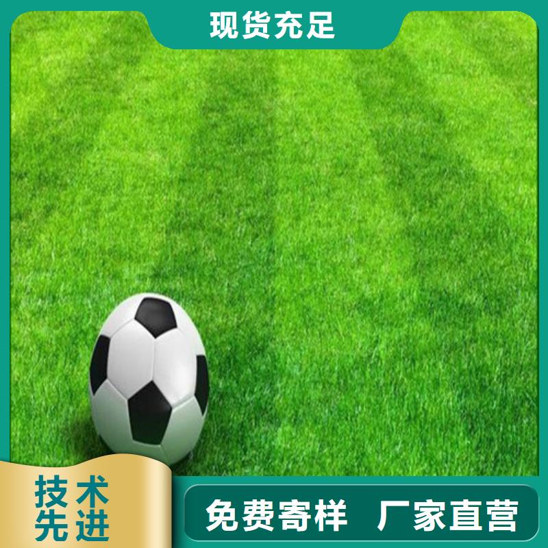 人造草坪健身步道实力才是硬道理