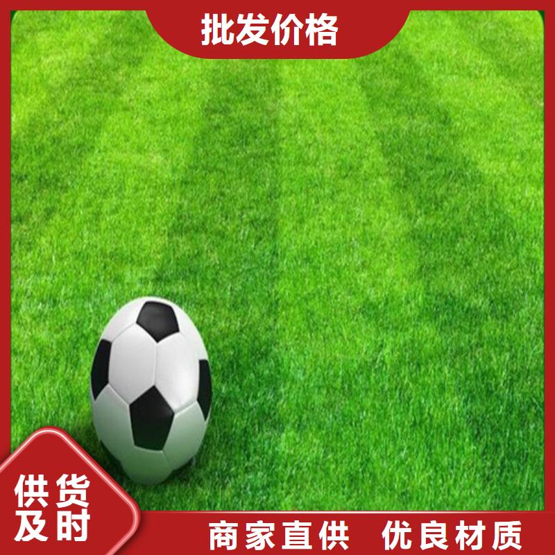人造草坪塑胶跑道质量优选