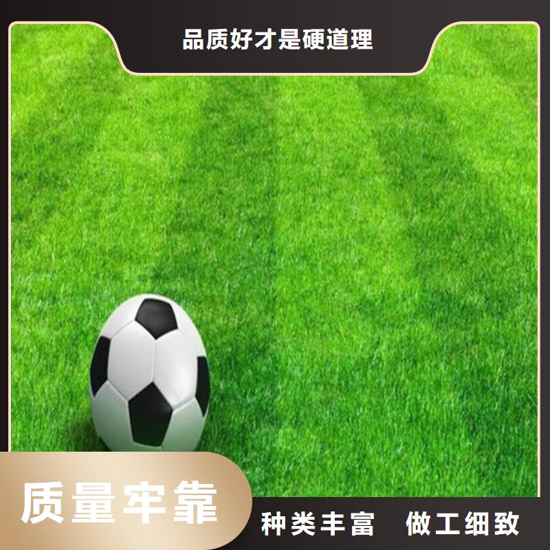 武城县球场人造草坪