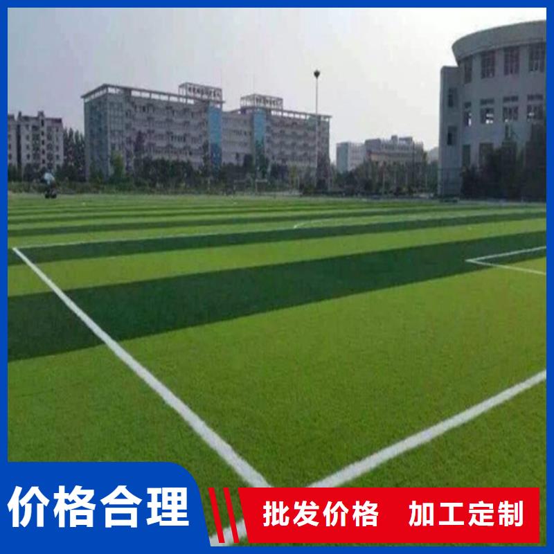 临邑县绿草地人造草坪