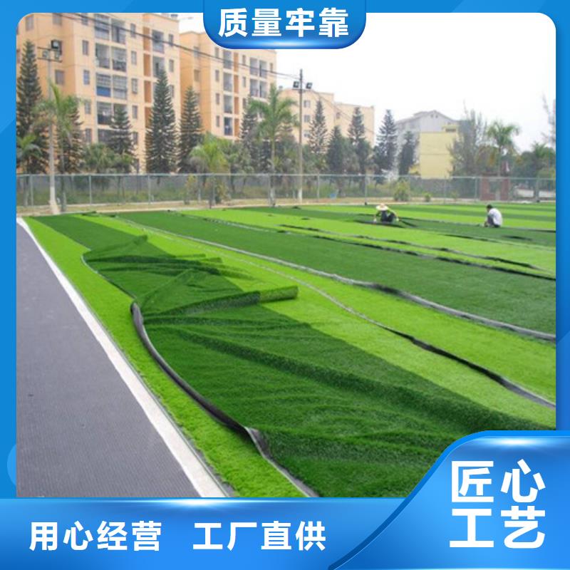 球场人造草坪货源
