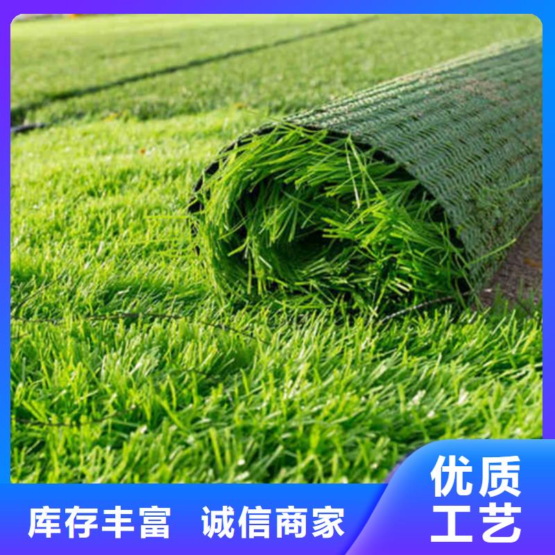人造草坪健身步道细节展示