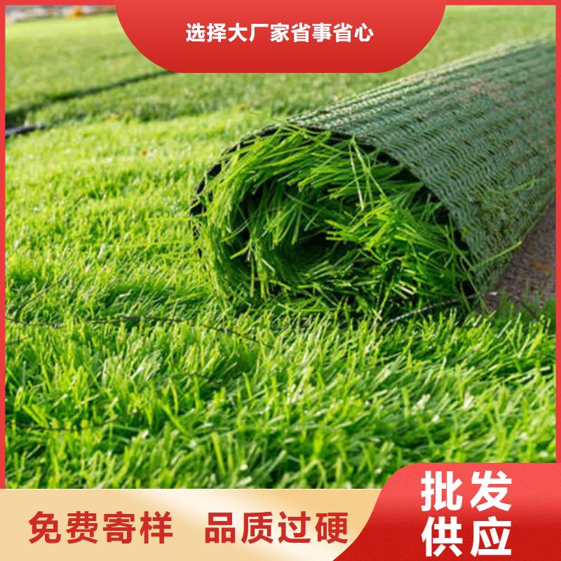 【人造草坪】-塑胶跑道产品优良