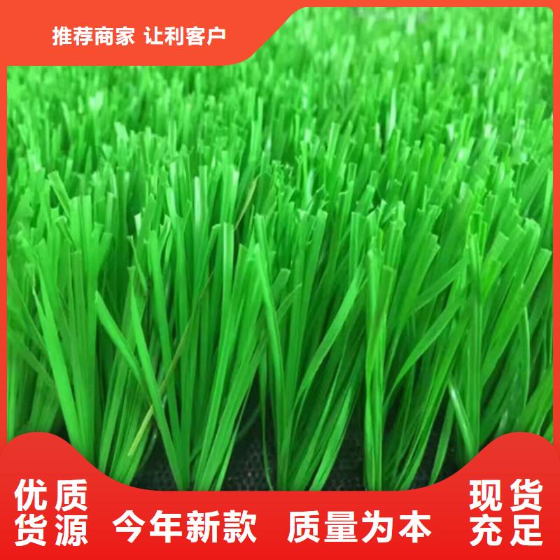 【人造草坪】-塑胶跑道产品优良