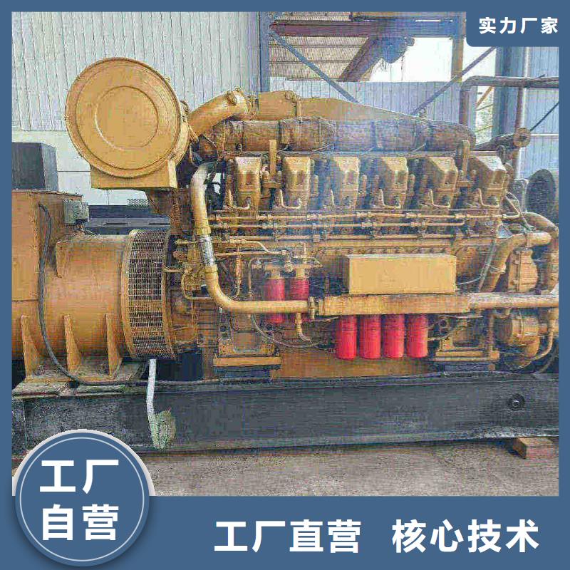 河西阜城发电机租赁公司直供厂家