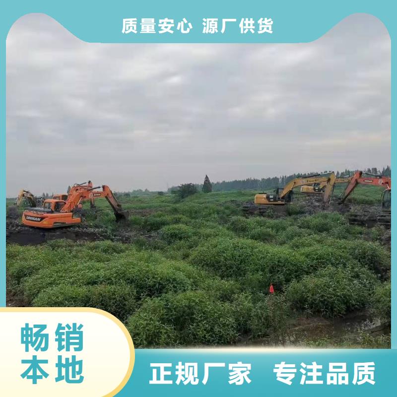  水上挖掘机出租服务始终如一