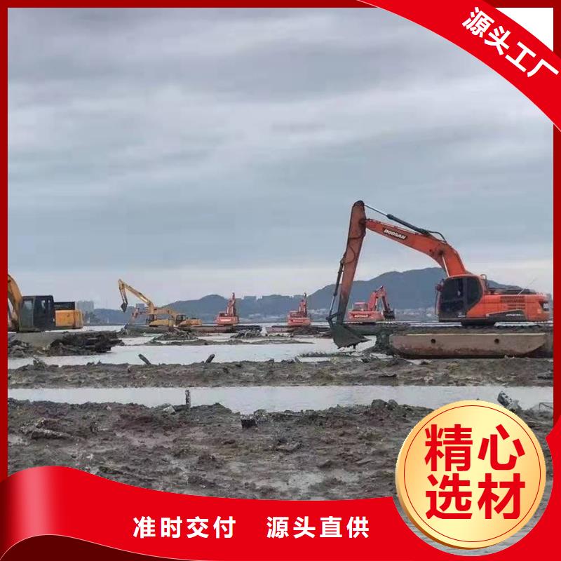 沼泽地挖机-厂家