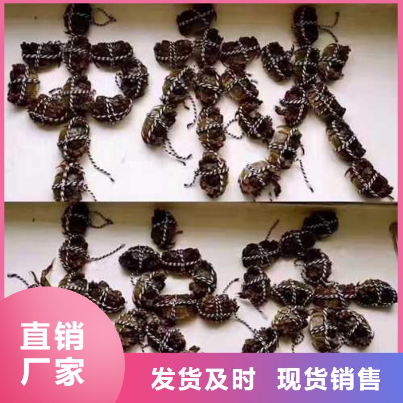网上订购大闸蟹-视频-香洲|金湾|肇庆|惠州|深圳|汕头|韶关|东莞顾记网上订购大闸蟹_ 阳澄湖镇岛顾记大闸蟹经营部(珠海市分公司)