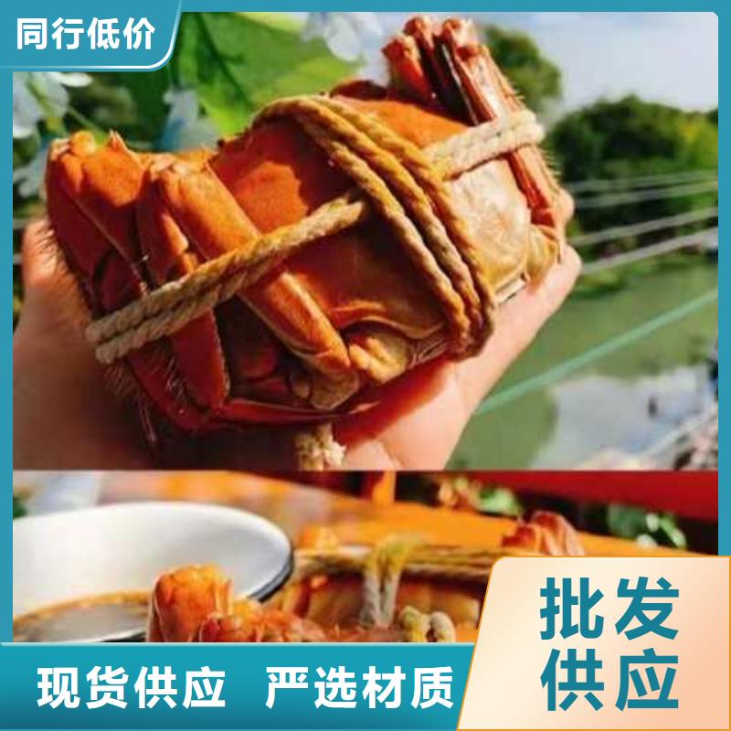 阳澄湖买蟹哪家好吃苏州这里好