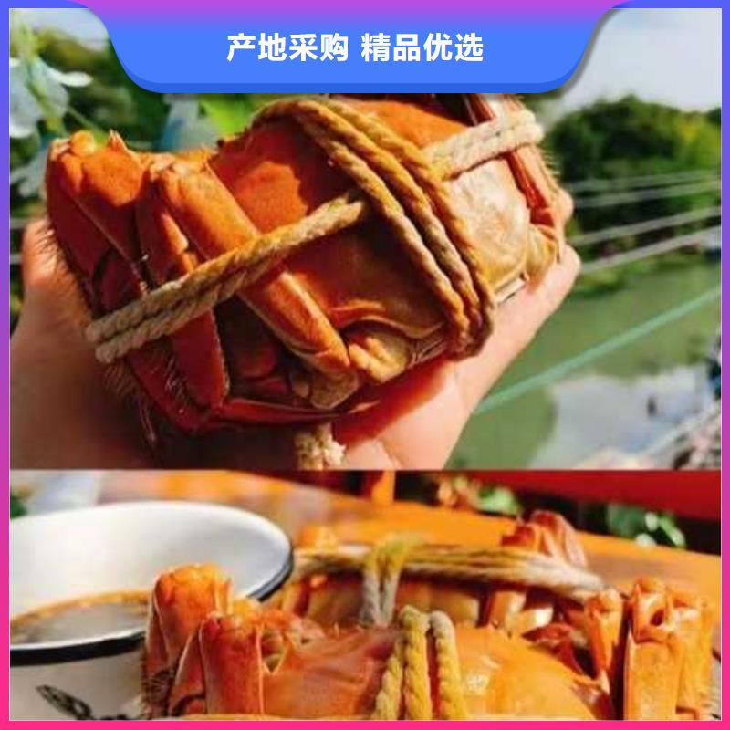 网上订购大闸蟹-视频-香洲|金湾|肇庆|惠州|深圳|汕头|韶关|东莞顾记网上订购大闸蟹_ 阳澄湖镇岛顾记大闸蟹经营部(珠海市分公司)