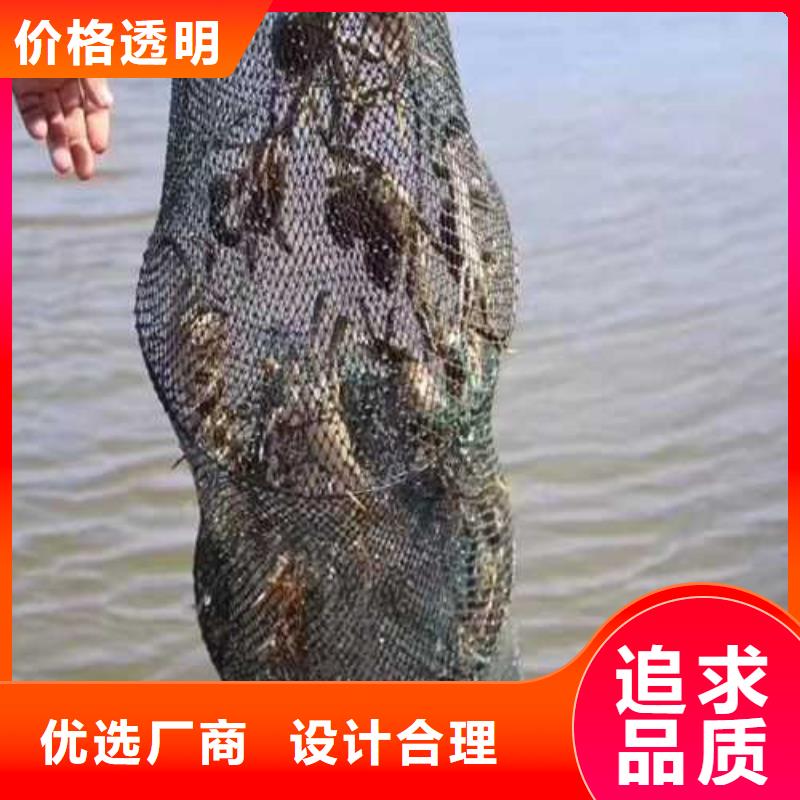 阳澄湖买蟹哪家好吃苏州这里好
