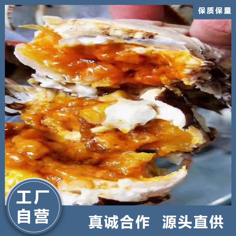 网上订购大闸蟹-视频-阆中|营山|攀枝花|雅安|绵阳|巴中|宜宾网上订购大闸蟹支持加工定制-阳澄湖镇岛顾记大闸蟹经营部(南充市分公司)