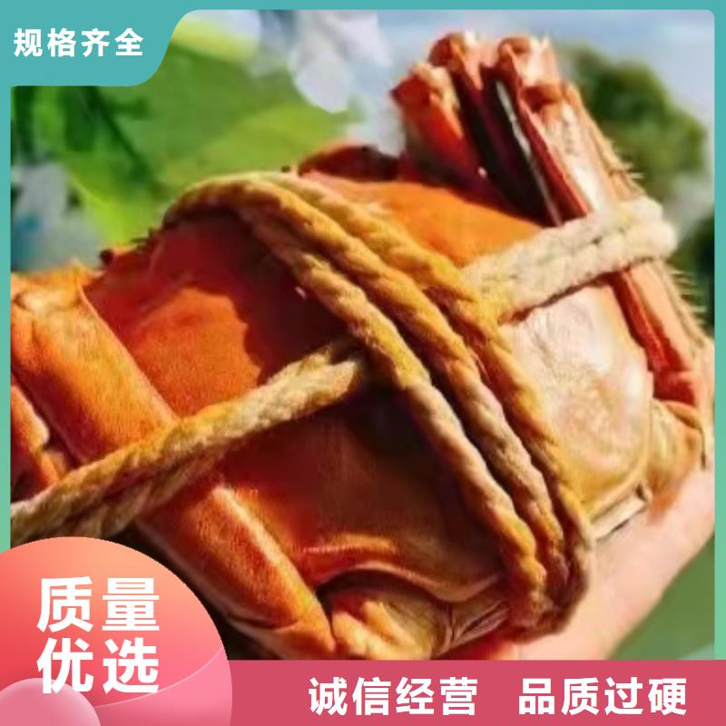 去阳澄湖买蟹哪里好在苏州阳澄湖