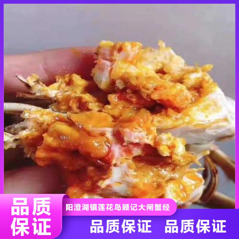 网上订购大闸蟹-视频-网上订购大闸蟹|甘肃省白银市|会宁|景泰|天水|平凉|甘南|兰州|定西|武威