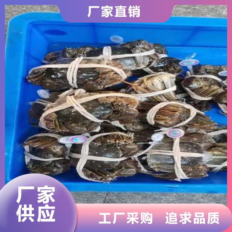 网上订购大闸蟹-视频-网上订购大闸蟹-辽宁省丹东市该地制造商-振安|凤城|沈阳|抚顺|铁岭|大连|鞍山|葫芦岛