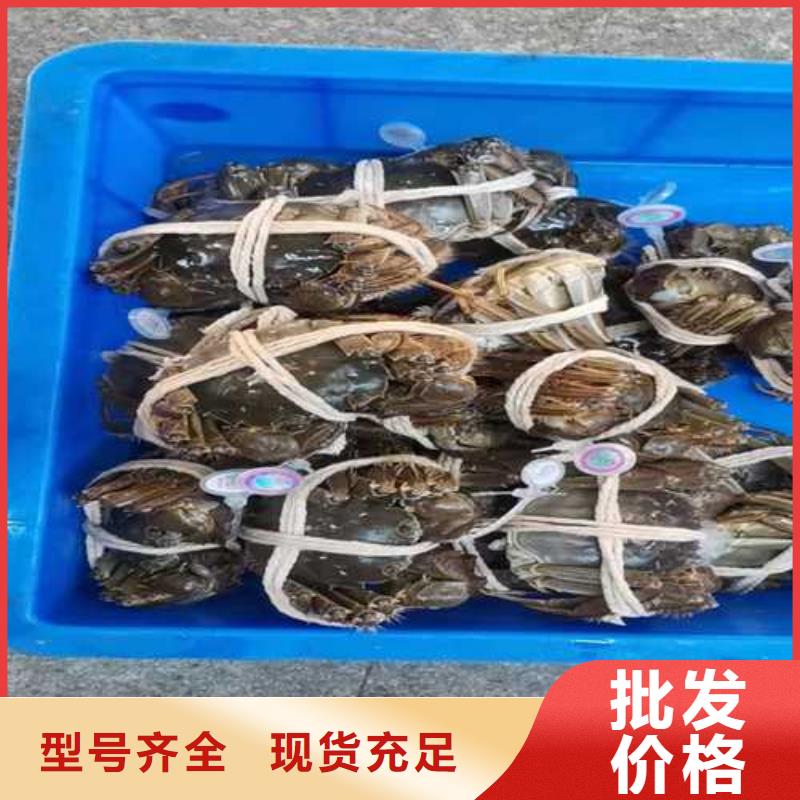 网上订购大闸蟹-视频-网上订购大闸蟹|长春市|二道|九台|四平|通化|辽源|延边|吉林