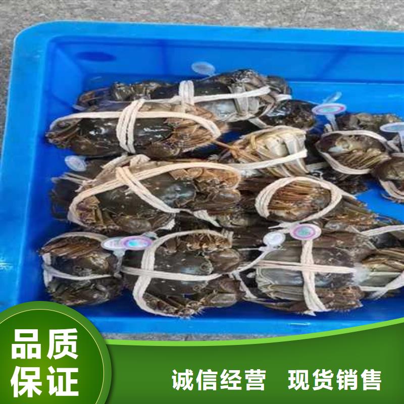 去阳澄湖吃蟹哪里好好吃在苏州阳澄湖