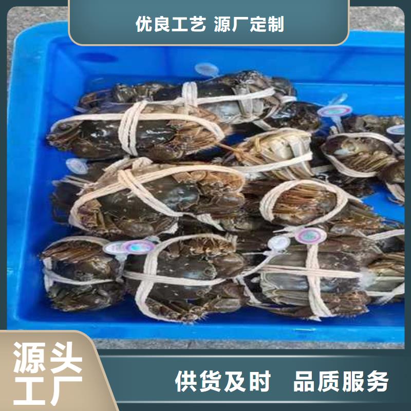 网上订购大闸蟹-视频-网上订购大闸蟹-阳澄湖镇岛顾记大闸蟹经营部(张家口市分公司)服务区域沽源|怀来|沧州|廊坊|邯郸|秦皇岛|保定