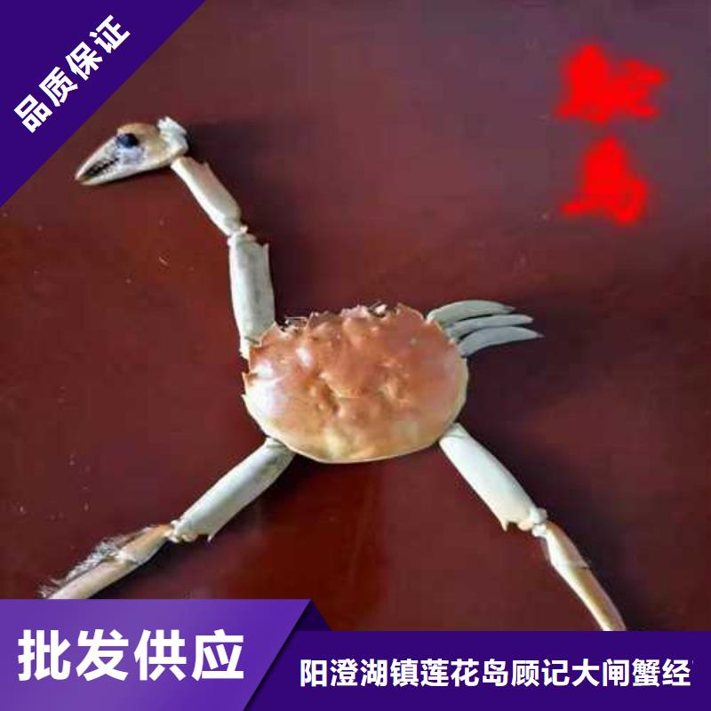 网上订购大闸蟹-视频-山东省淄博市顾记网上订购大闸蟹可服务区域高青|博山|菏泽|济宁|威海|临沂|枣庄等