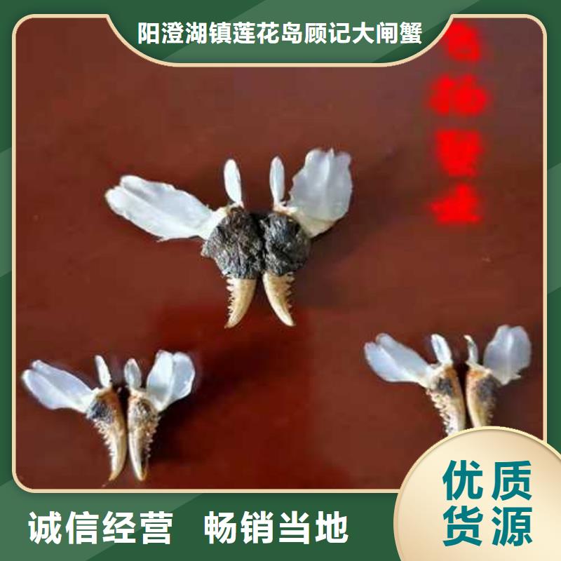 定制大闸蟹的当地厂家