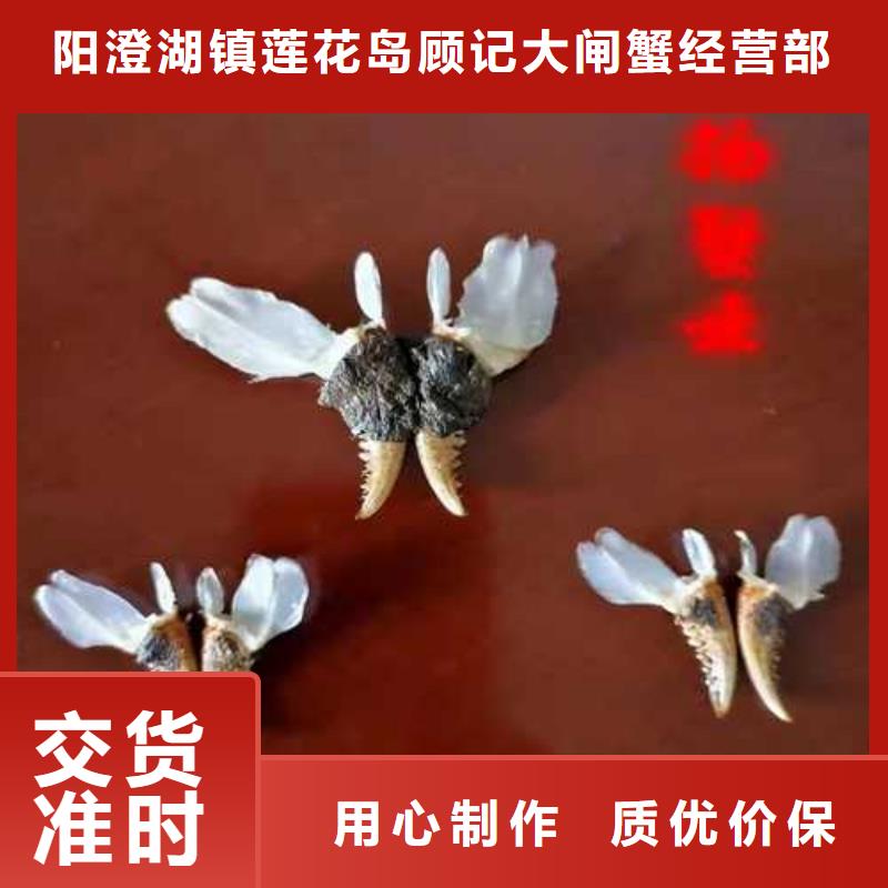 网上订购大闸蟹-视频-阳江市网上订购大闸蟹-附近可服务区域阳春|阳西|珠海|潮州|中山|佛山